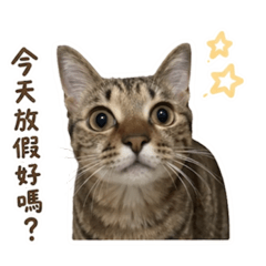 小菜脯不想上班系列