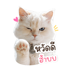 Moji in everyday