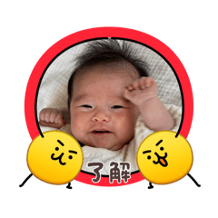 Terurun_20260507081231
