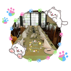 美しい輝き