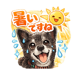 chiimame_20260507080500