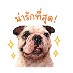 Moozu