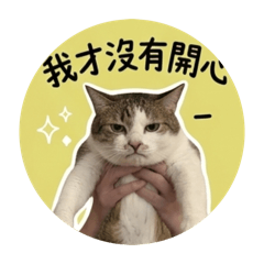小波有話要說