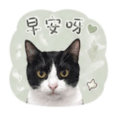日常語錄用語