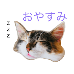 Sticker of Sukonbu