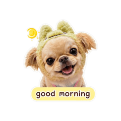 Pommy_20260502125550