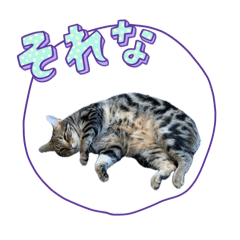 yudai ishii_20260507090940