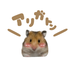 gaki_20260507092321