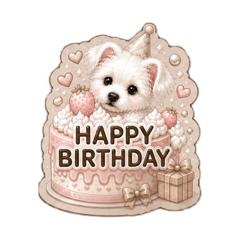 nicolon:_20260507092515