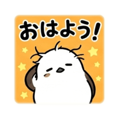 asagao5656_20260507091837