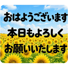 momotaroko_20260507093320