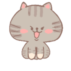 Gray and orange cat brotherhood