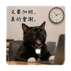 傲嬌小賓士の日常 （職場篇）