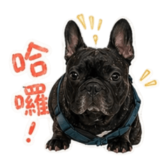 法鬥cookie之調皮搗蛋