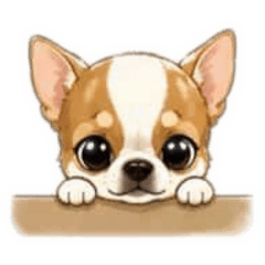 吉娃娃（chihuahua)