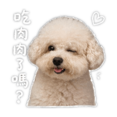 圓圓貴賓