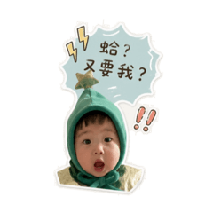 沅綜合版