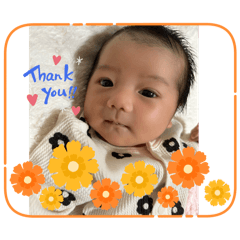 Shogo_20260507095256