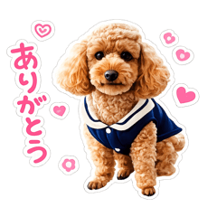 minehisa koshiishi_20260507100309