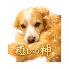inu_20260507100525
