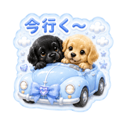 nicolon:_20260507100730