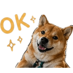 萬三柴犬