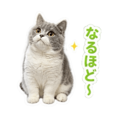 hitomi_20260507100958