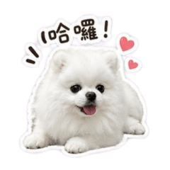 雙寶寶寶寶