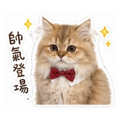 拾柒日常 (Seventeen's Daily)
