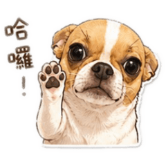 吉多多娃日常