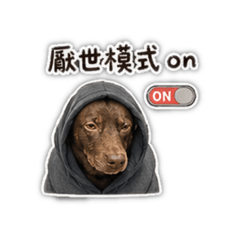我們的日常 06◉‿◉