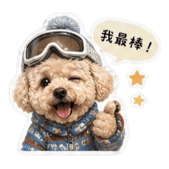 肉鬆的滑雪夢