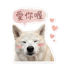 我們家的奶茶寶貝♡