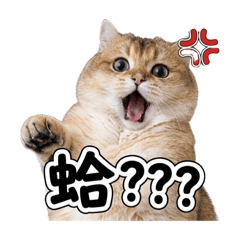 金漸層系列1