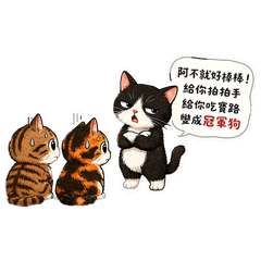 日常用語1貓咪版