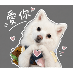 狐狸熊寶寶