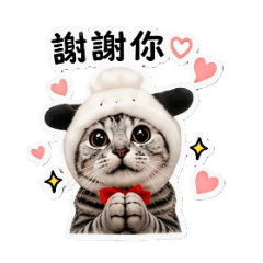 Luna療癒日常