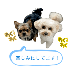 yuka_20260507102725