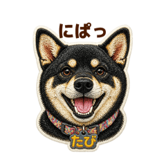 Shiba_tabi_