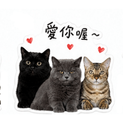 三搗蛋