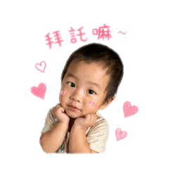 三寶在線鬧