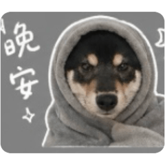 歲歲の語錄