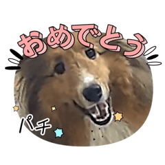 miky_202605071104456