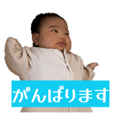 fuyu_20260507105728