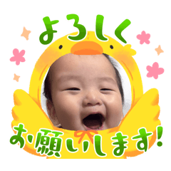 omame_20260507112233