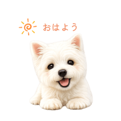 Hiro_20260507112848