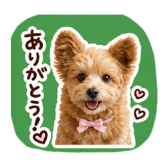 mugimugi_20260430083152