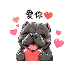 我是鐵蛋 愛我就對了❤️