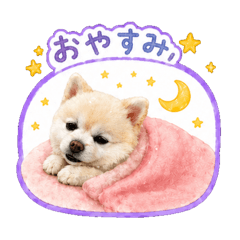 babisuke_20260507113606