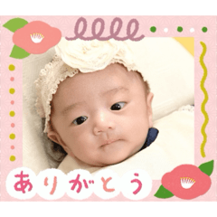yua_20260507113946
